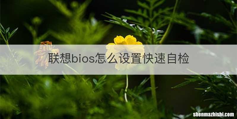 联想bios怎么设置快速自检
