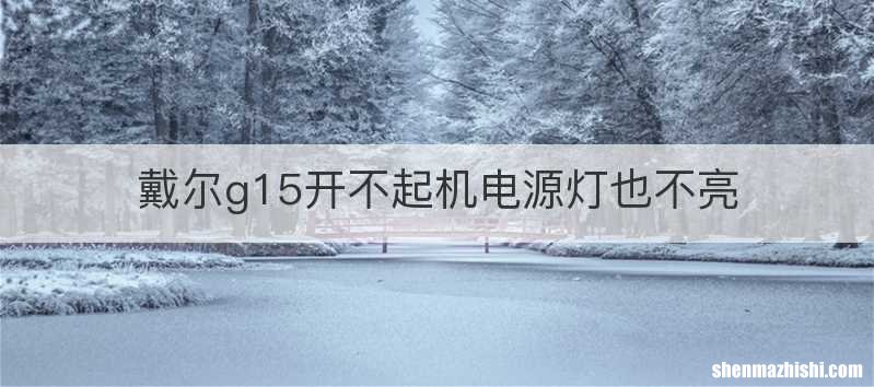 戴尔g15开不起机电源灯也不亮