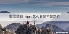 戴尔灵越14pro怎么看是不是新机