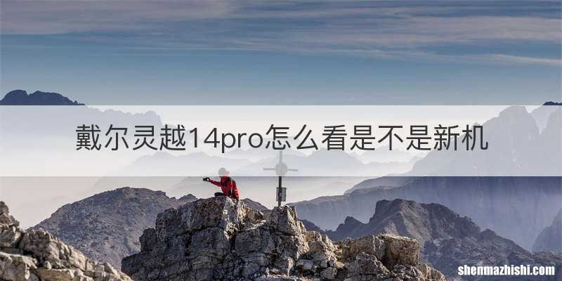 戴尔灵越14pro怎么看是不是新机