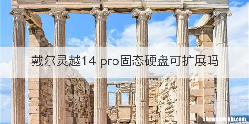 戴尔灵越14 pro固态硬盘可扩展吗