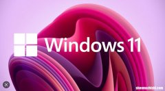 自动变黑9个修复方法 Windows壁纸突然变黑