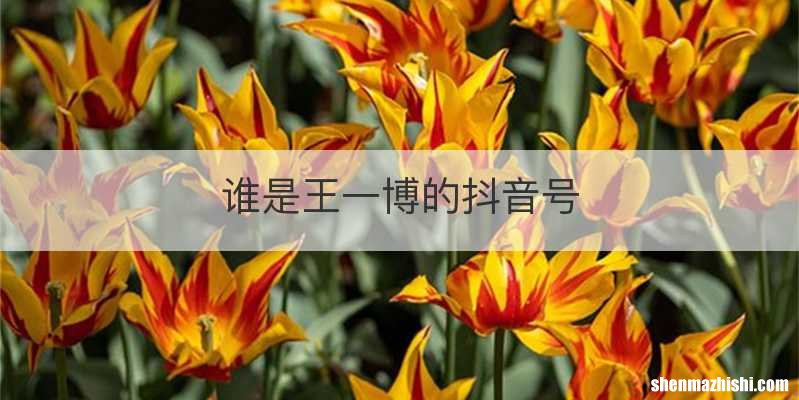 谁是王一博的抖音号