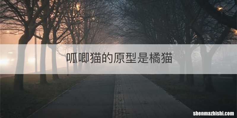 呱唧猫的原型是橘猫