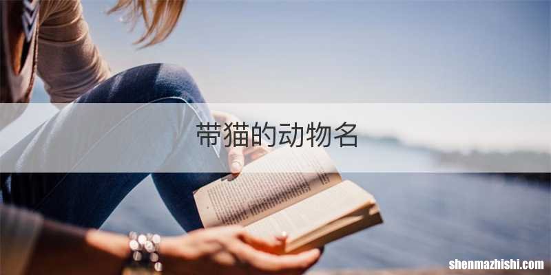 带猫的动物名