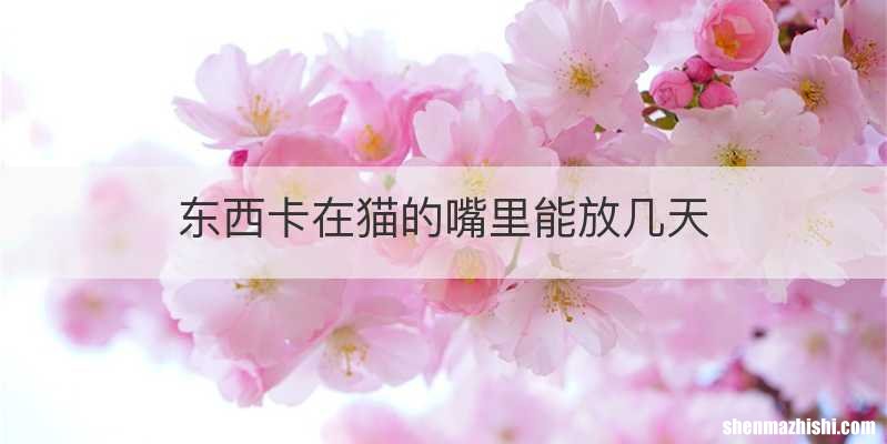 东西卡在猫的嘴里能放几天