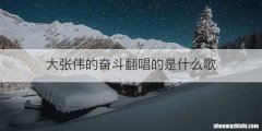 大张伟的奋斗翻唱的是什么歌