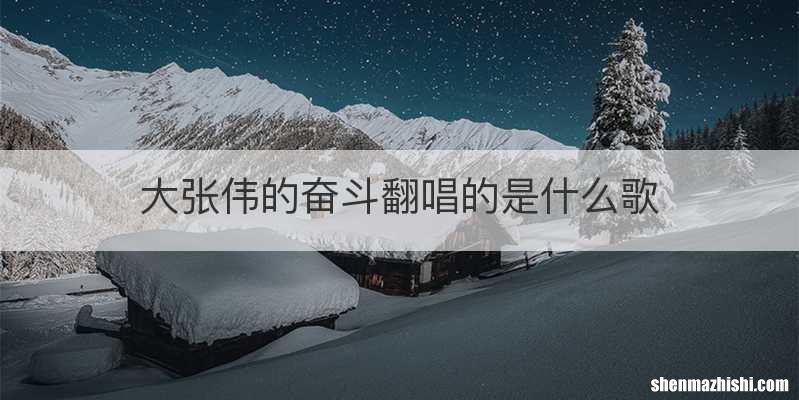 大张伟的奋斗翻唱的是什么歌