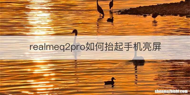 realmeq2pro如何抬起手机亮屏