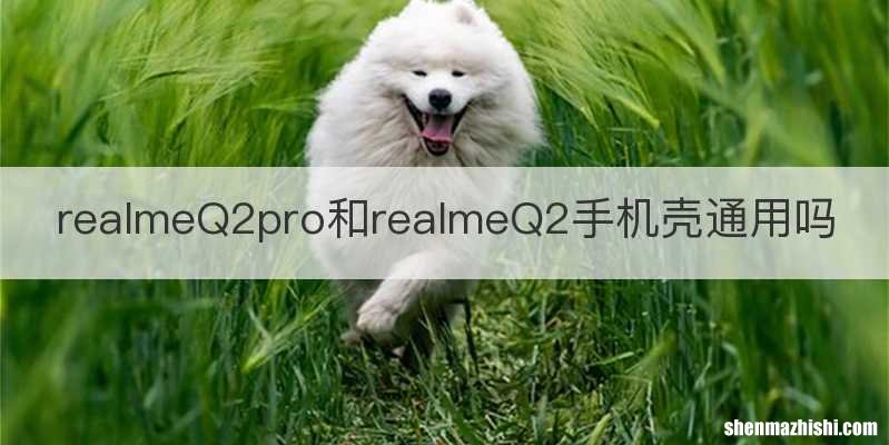 realmeQ2pro和realmeQ2手机壳通用吗