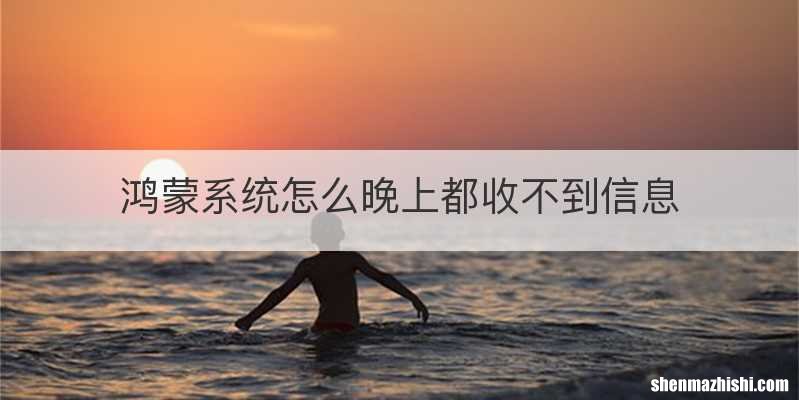 鸿蒙系统怎么晚上都收不到信息