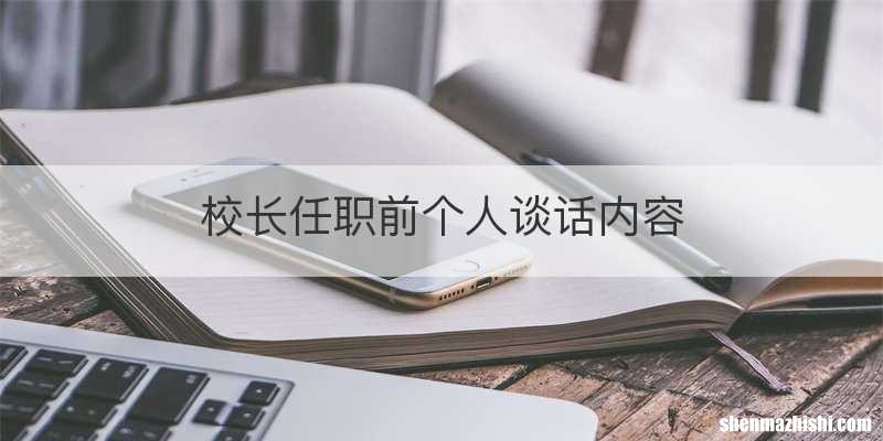 校长任职前个人谈话内容