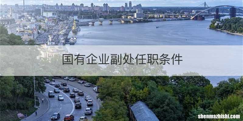 国有企业副处任职条件
