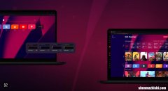 Opera浏览器在Win11/10上使用高CPU和内存