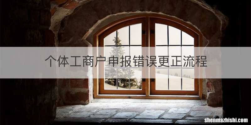 个体工商户申报错误更正流程