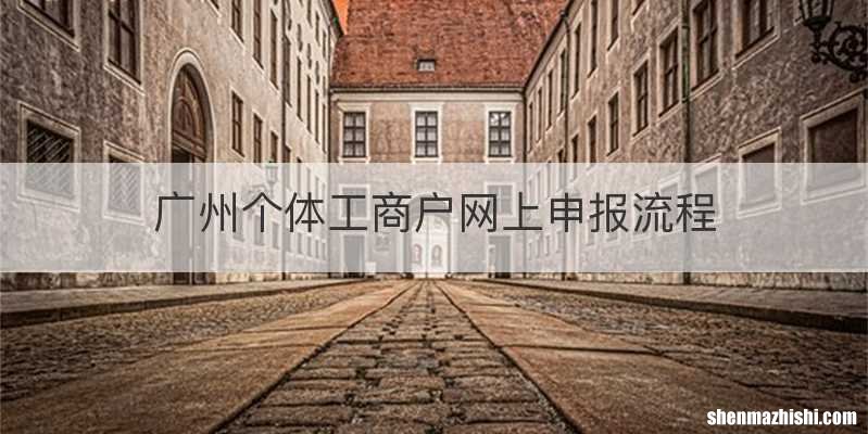广州个体工商户网上申报流程