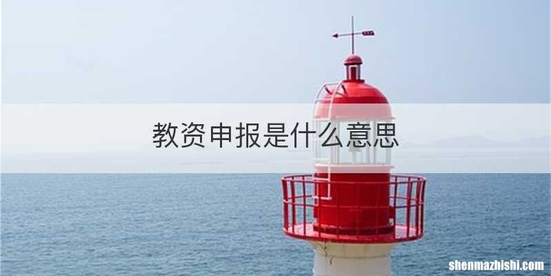 教资申报是什么意思