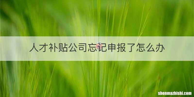 人才补贴公司忘记申报了怎么办