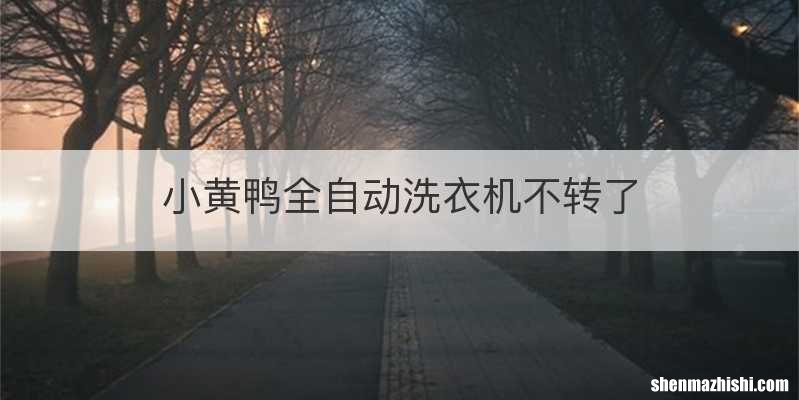 小黄鸭全自动洗衣机不转了