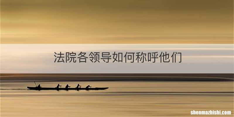 法院各领导如何称呼他们