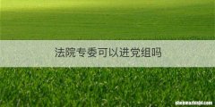 法院专委可以进党组吗