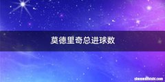 莫德里奇总进球数