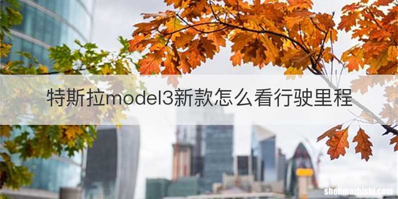 特斯拉model3新款怎么看行驶里程