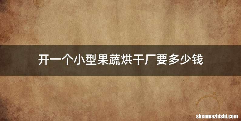 开一个小型果蔬烘干厂要多少钱