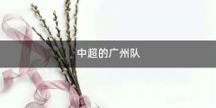 中超的广州队