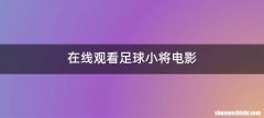 在线观看足球小将电影