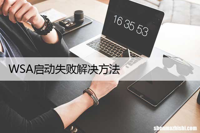 WSA启动失败解决方法 升级到WIN11 WSA无法启动