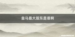 皇马最大股东是谁啊