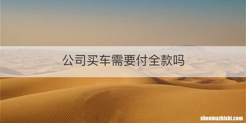 公司买车需要付全款吗