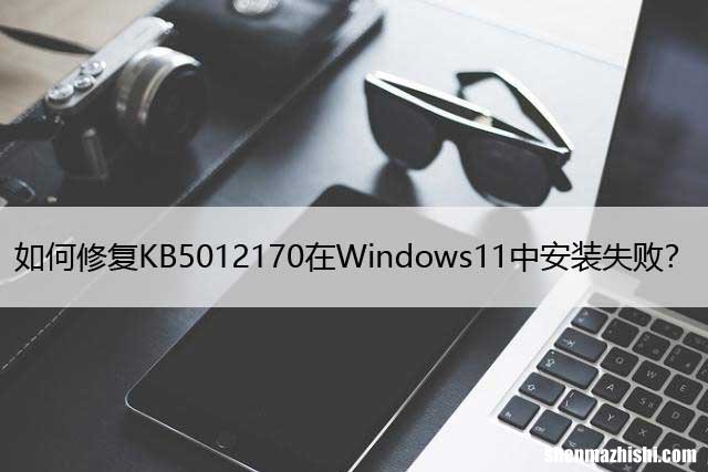 如何修复KB5012170在Windows11中安装失败？