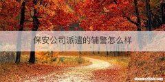 保安公司派遣的辅警怎么样