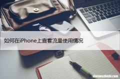 查看已用蜂窝数据 如何在iPhone上查看流量使用情况