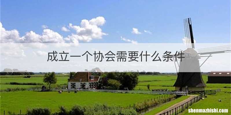 成立一个协会需要什么条件