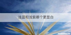 浅蓝和浅紫哪个更显白