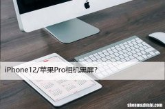 iPhone12/苹果Pro相机黑屏？8个修复方法