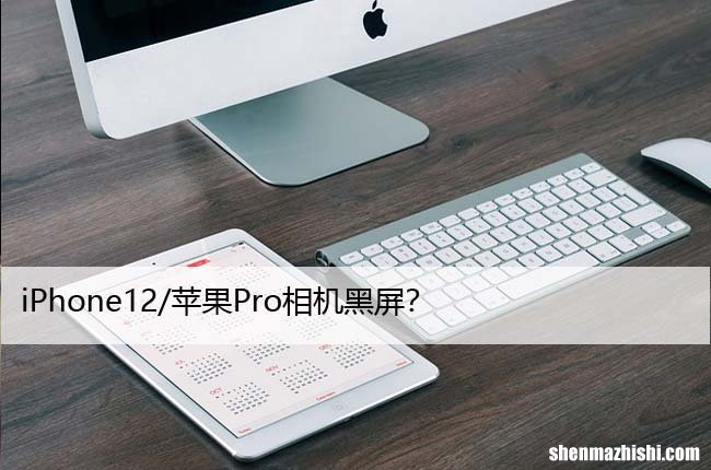 iPhone12/苹果Pro相机黑屏？8个修复方法