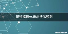 沃特福德vs米尔沃尔预测