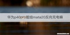 华为p40pro能给mata20反向充电嘛