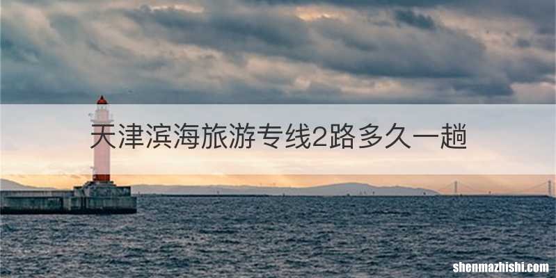 天津滨海旅游专线2路多久一趟