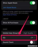 让iPhone扬声器声音更大的7 种方法
