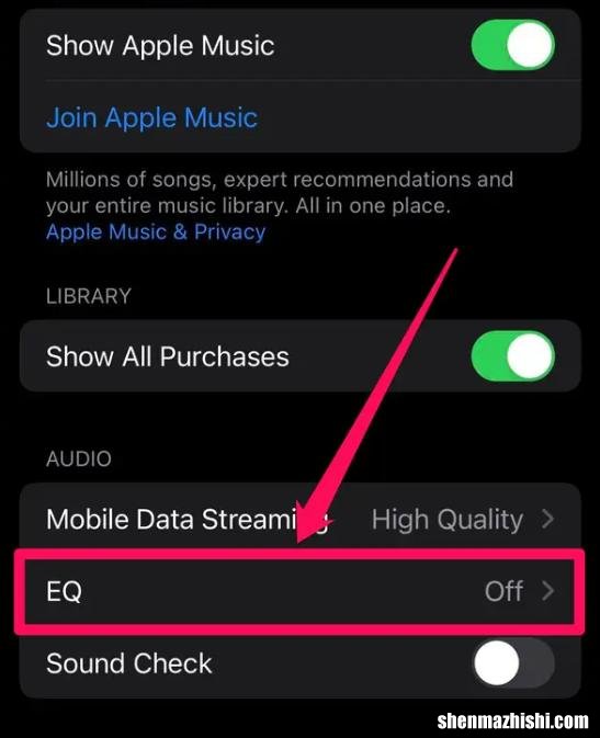 让iPhone扬声器声音更大的7 种方法