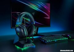 在Windows上修复“THX Spatial Audio不工作”？