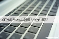 如何修复iPhone上缓慢的Spotlight搜索？