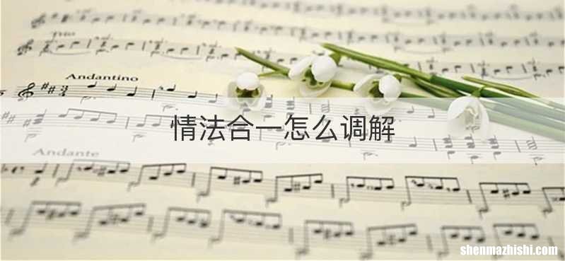 情法合一怎么调解
