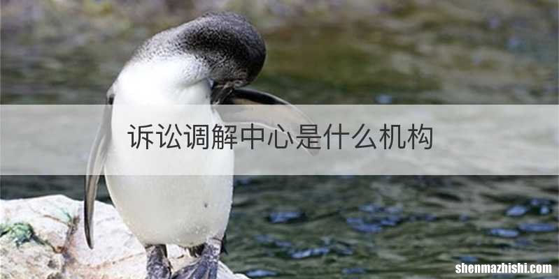 诉讼调解中心是什么机构