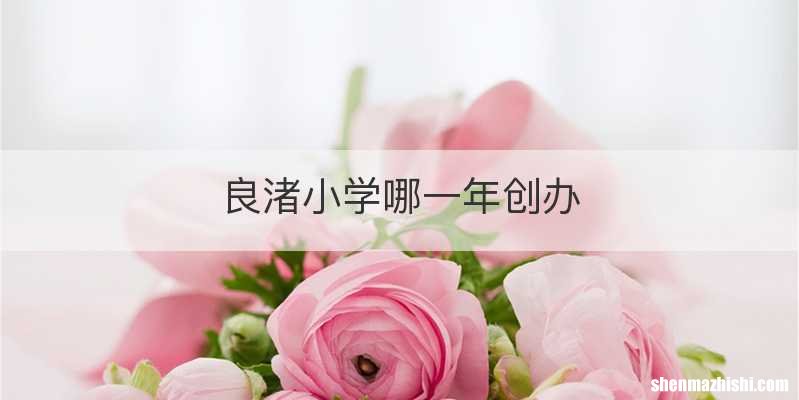 良渚小学哪一年创办